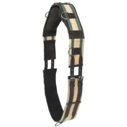 Camelot Web Training Surcingle