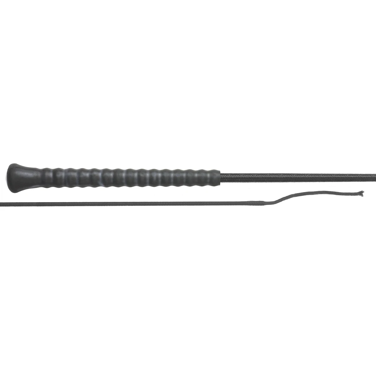 Fleck Schooling Whip