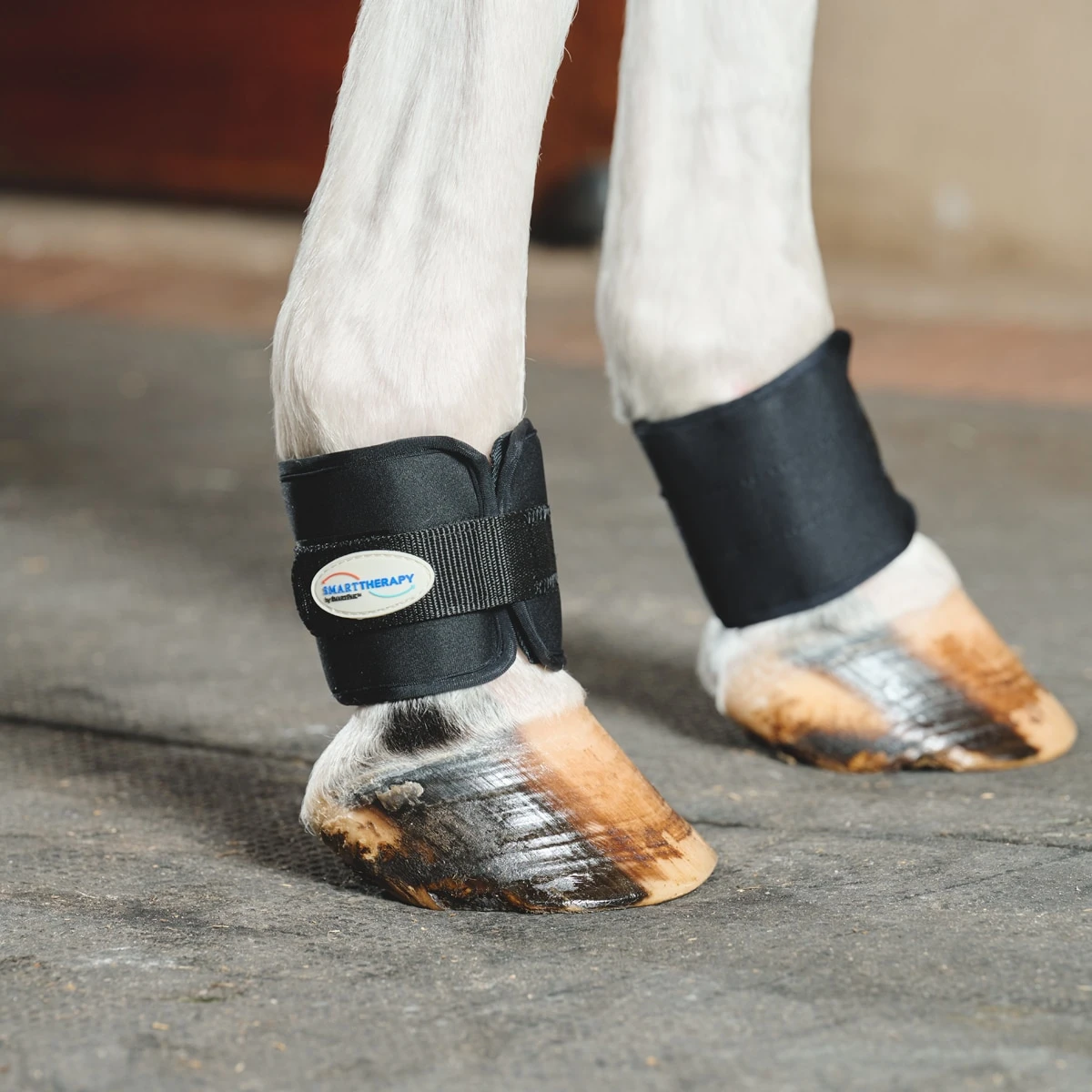 SmartTherapy® Pastern Ice Wraps - Image 2
