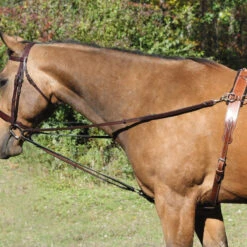 Tory Leather Vienna Side Reins