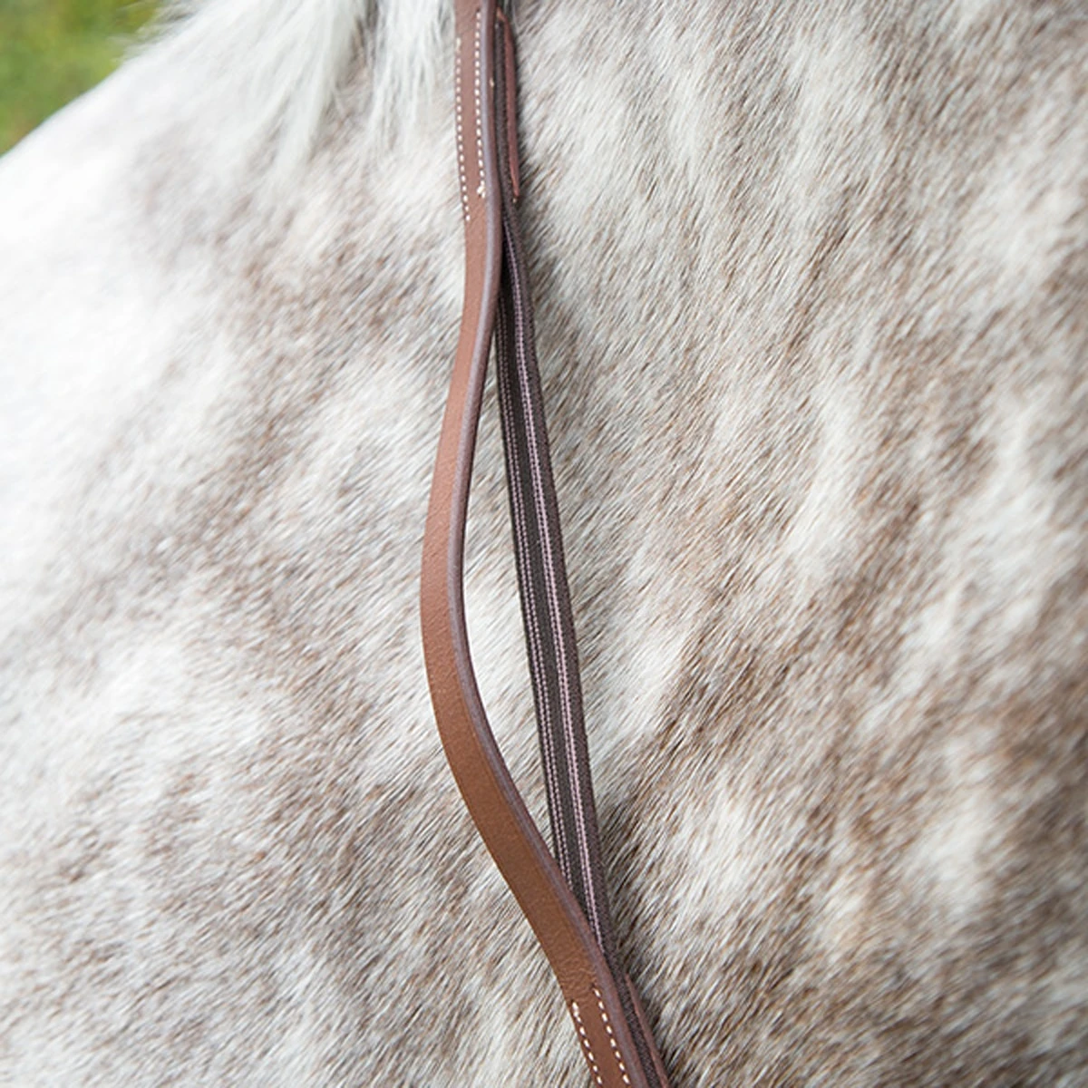 Shires Neck Strap - Image 2