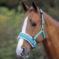 Shires Fleece Lunge Caveson