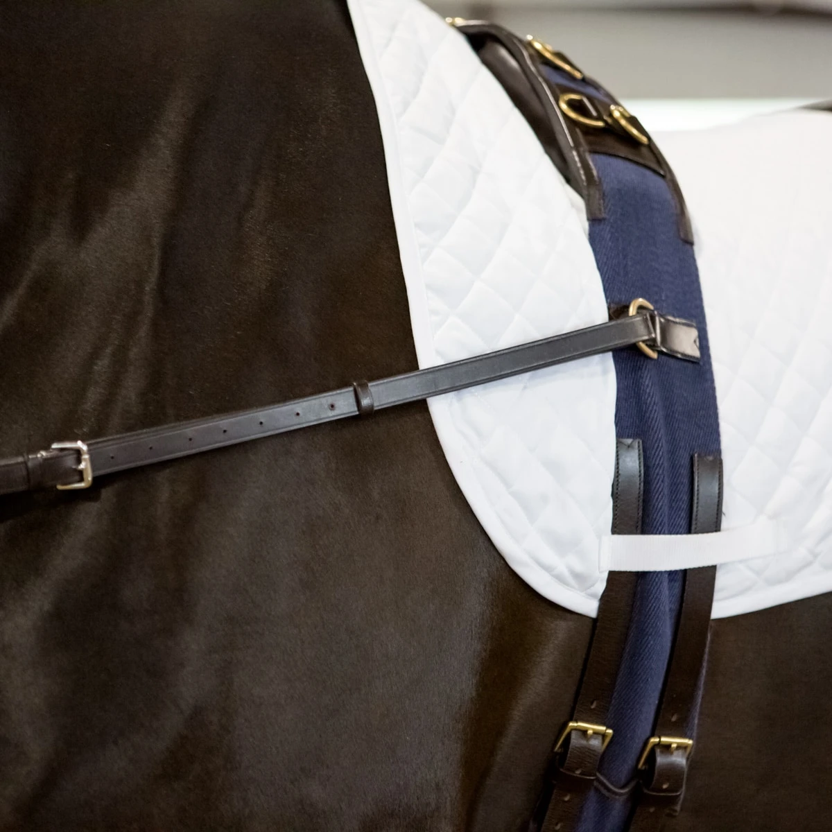 SmartPak Training Surcingle - Clearance! - Image 2