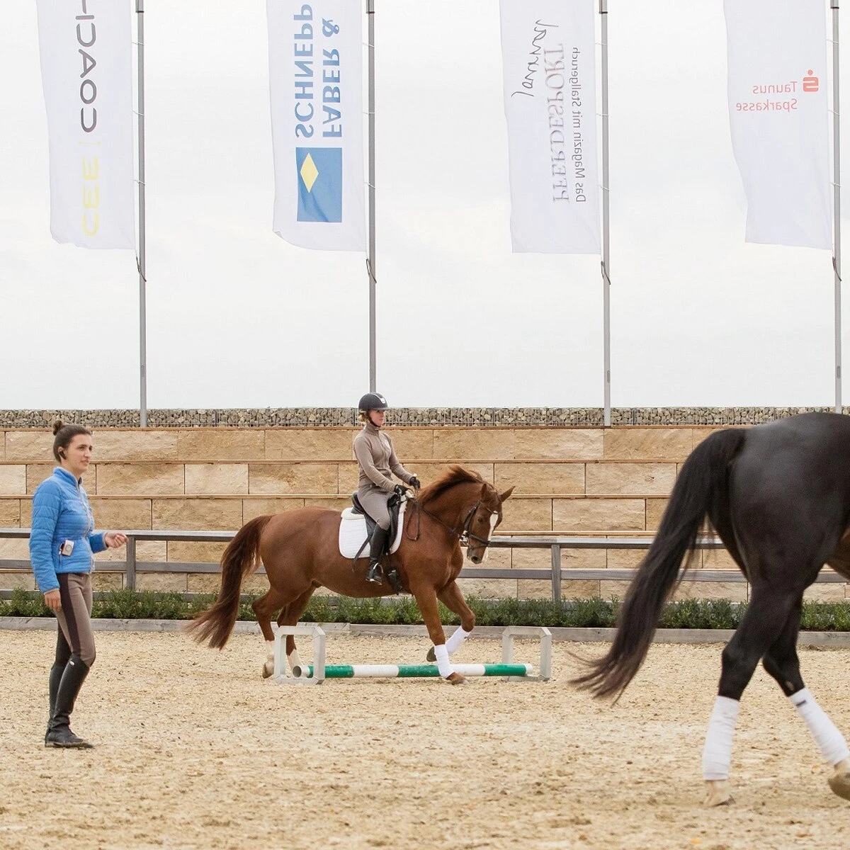 CEECOACH® 2 Single - Image 2