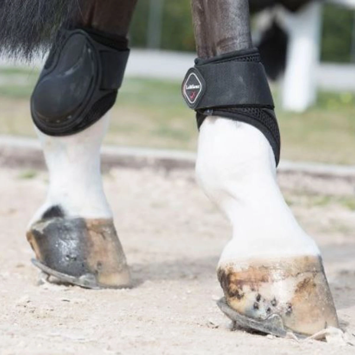LeMieux Derby ProJump Fetlock Boots - Image 2