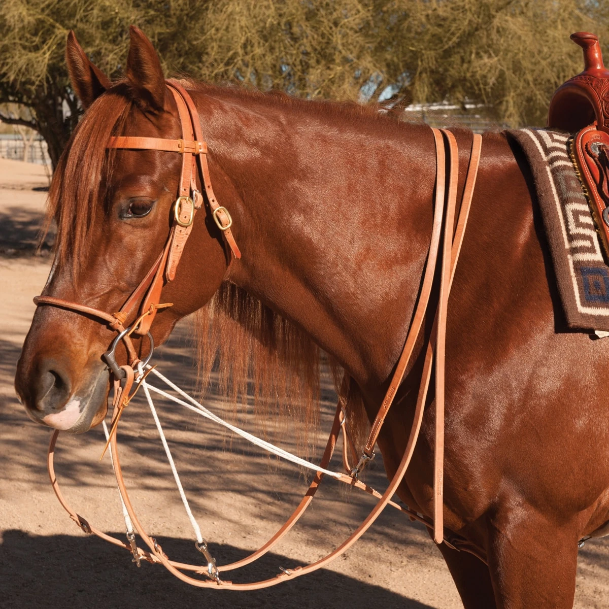 Professional's Choice German Martingale