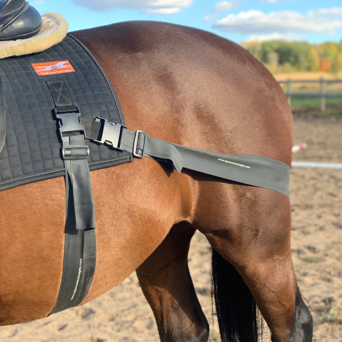 Equicore Complete Equiband® Pro System - Image 2