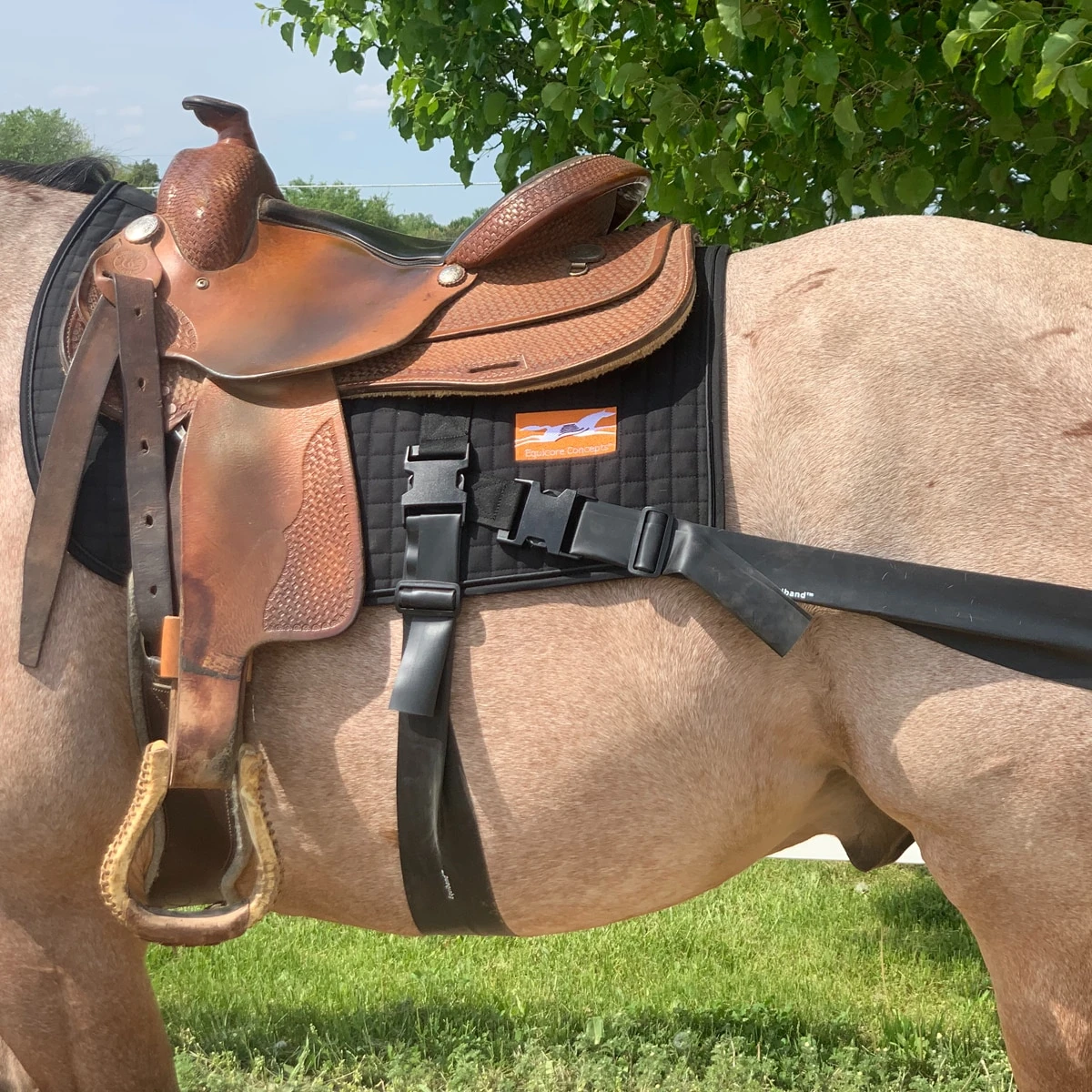 Equicore Complete Equiband® Pro System - Image 5