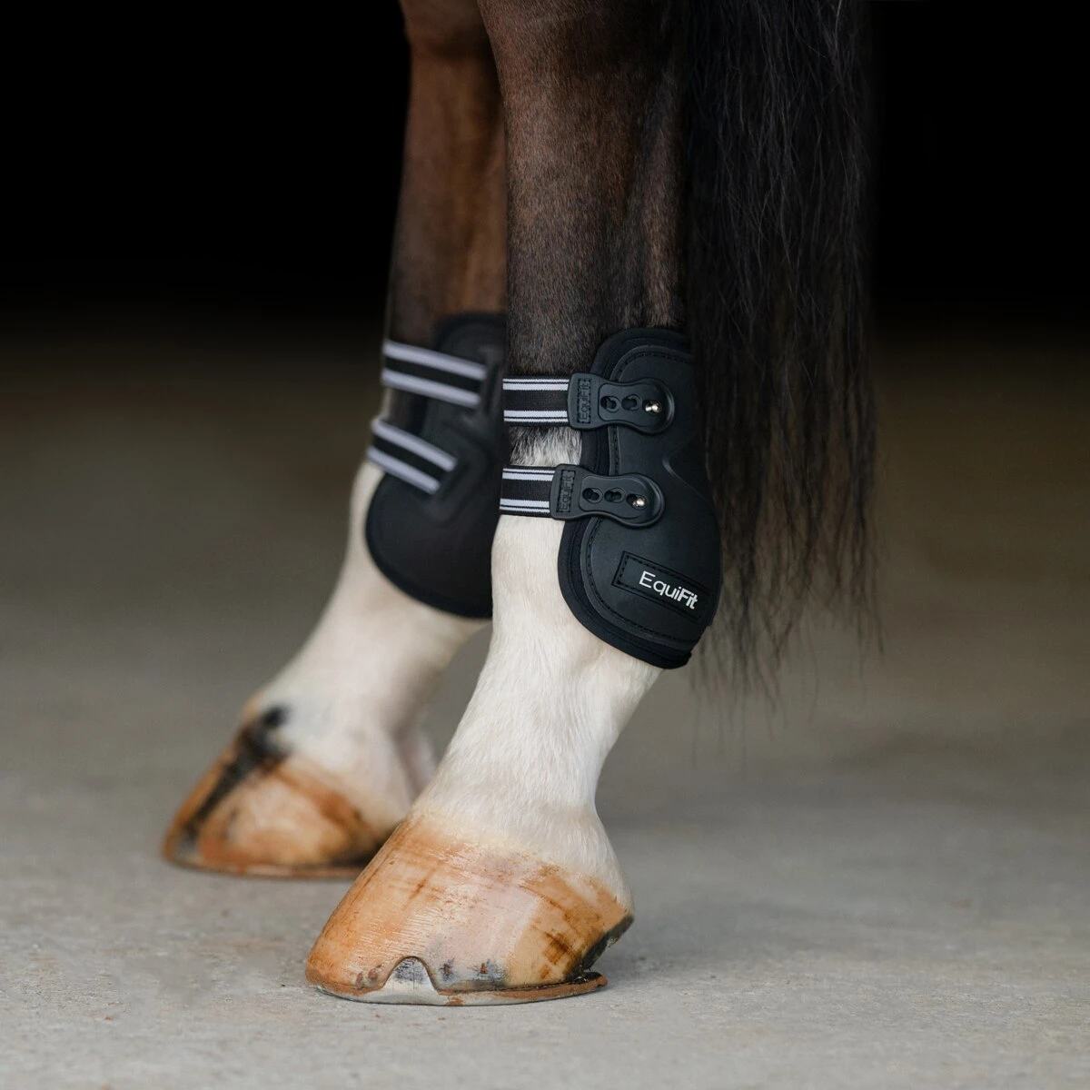 EquiFit Prolete Hind Boot With Elastic Straps - Image 2
