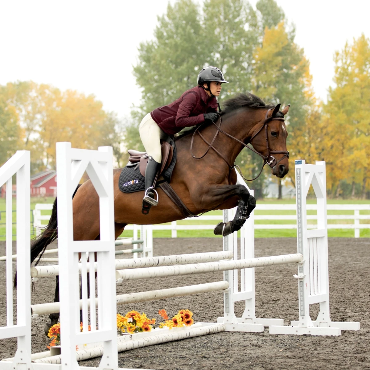 Kerrits Arena Training Knee Patch Breech - Image 4